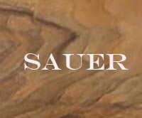 Приклады Sauer (Зауэр)