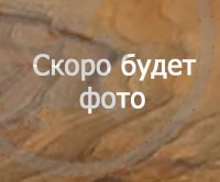 Ложа Барс КО-4 «облегчённая» орех