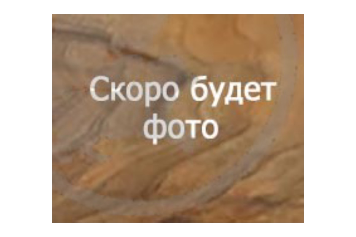 Ложа ОП-СКС «тип СВД» бук